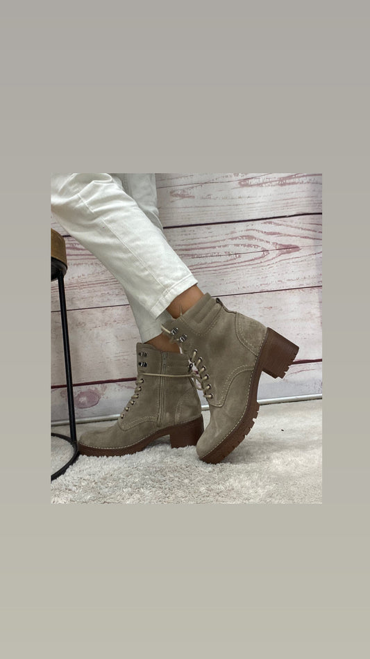 Vueva Anfibio crosta desert